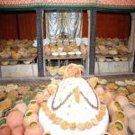 Vraj-Yatra-2014- (1073)